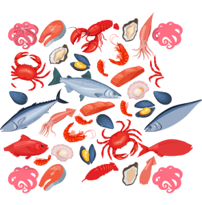 diferentes tipos de pescado